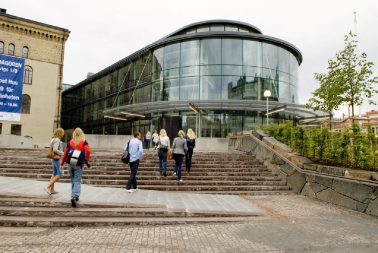 Svart Locka Duktiga Studenter Arbetsvarlden