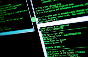 Tufft för staten att tävla om IT-specialisterna