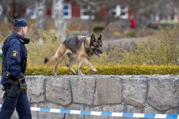TCO vill sänka skatten på arbete