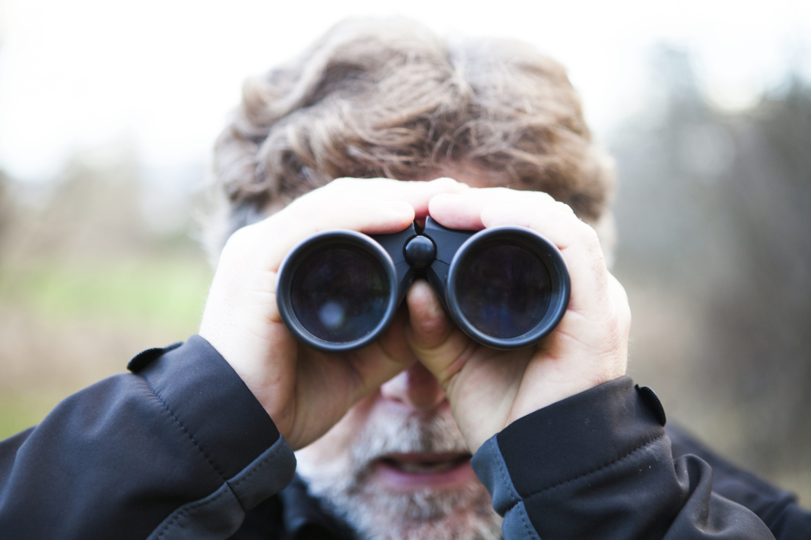 Nytt förslag från Fridolin