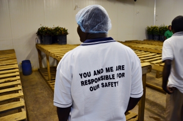 Både tjänstemän och arbetare utsätts när rättigheter kränks