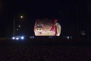 Protester befaras när rondellpotatis tas ned
