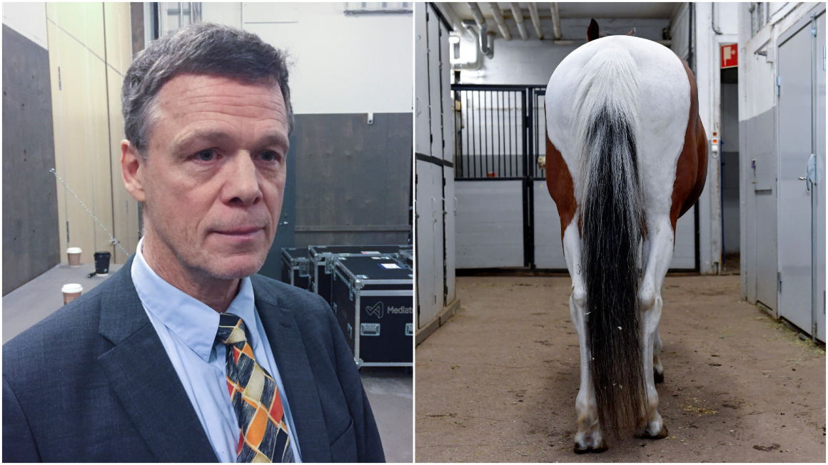 Martin Strid endast 50 procent människa