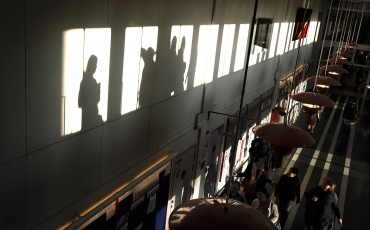 Färre studenter läser endast fristående kurser