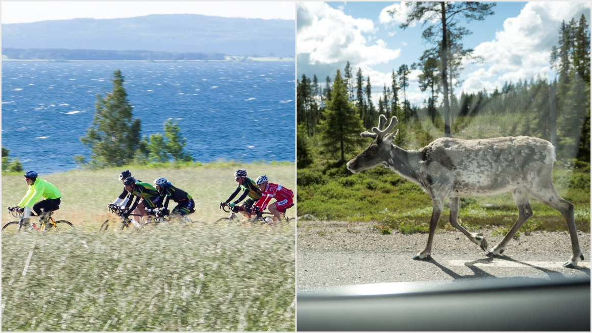 Stora skillnader när sjukpenning ska dras in