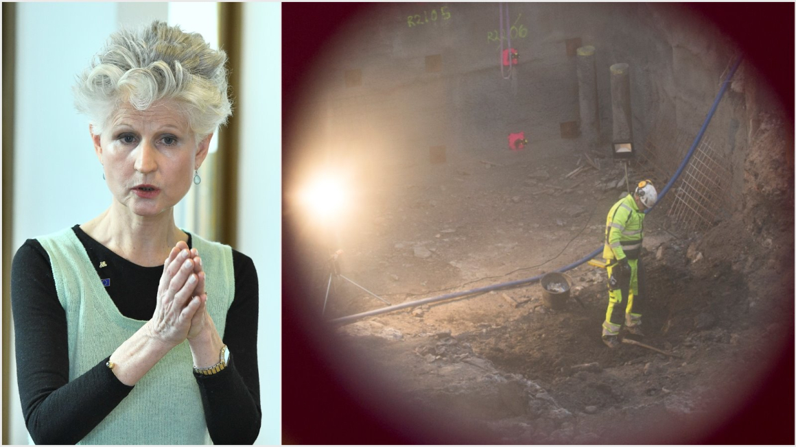 Corazza Bildt: Ohelig allians bakom direktivet