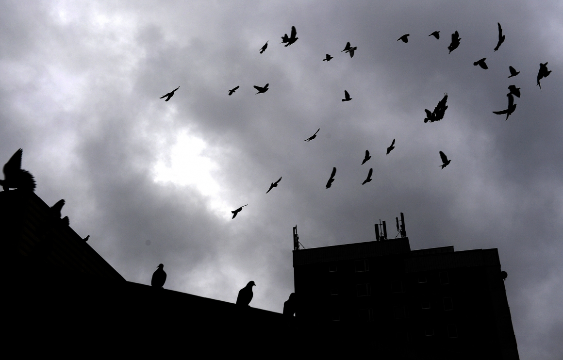 På 20-talet förstod man bostadsmarknaden bättre