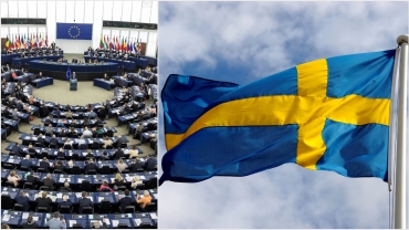 Parterna enas till försvar av svenska modellen i nytt råd