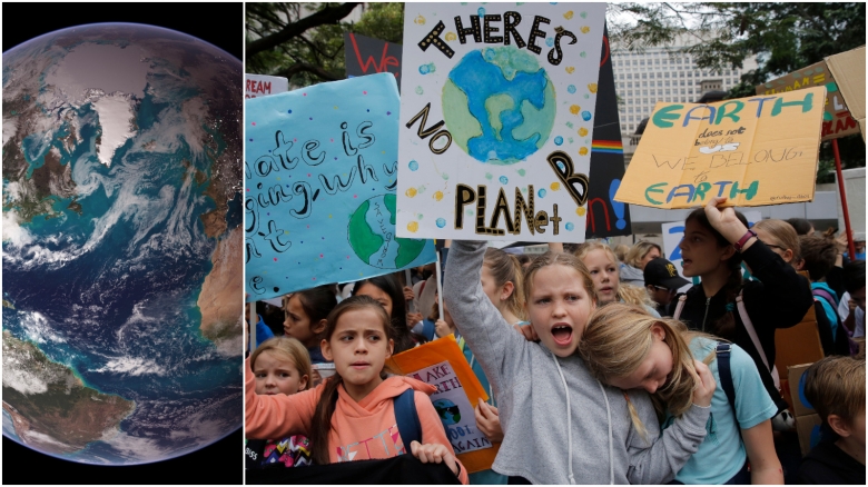 Naturen: Om svamparna strejkat hade jag blivit orolig