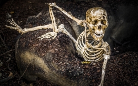 Föräldrar rasar mot grannens sjuka Halloweenspex