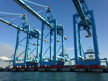 Så klarar Nederländerna grön omställning – bildar kolfond