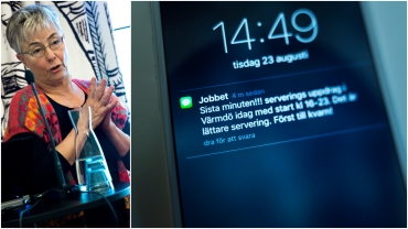 Viktigt att vi stärker det svaga anställningsskyddet