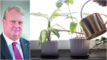 När blev blomvattning viktigare än försvaret?