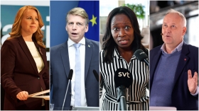 Bred politisk samsyn kring dörrmattor 