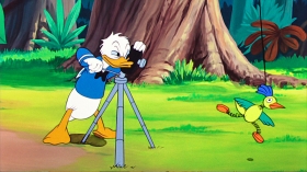 Kalle Anka förväntas fira jul coronasäkert