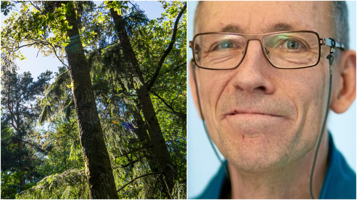 ”Sveaskog följer skogsvårdslagen”