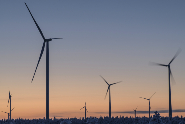 Den ”gröna” omställningen – kampen om naturresurserna