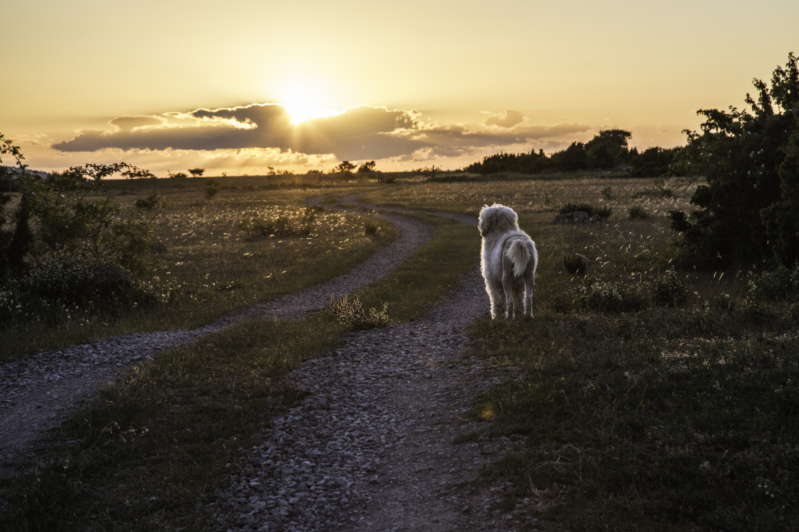 Glad sommar, önskar Arbetsvärlden!