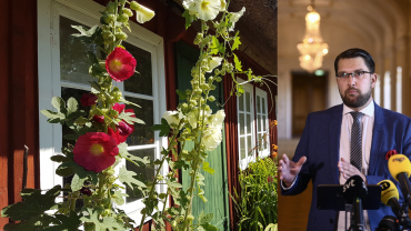 ”SD kommer göra avtryck i kulturpolitiken”