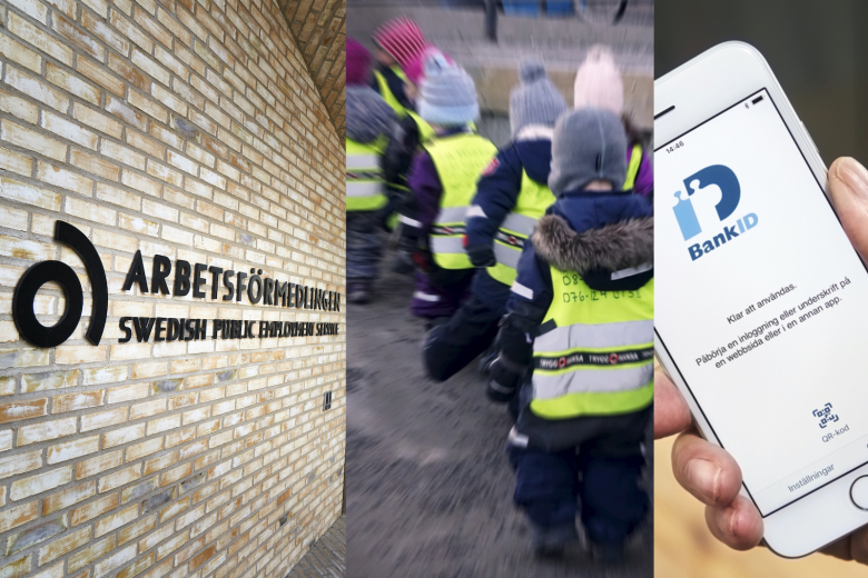 ”Man antog att ukrainarna skulle ha en hög utbildningsnivå och god engelska”