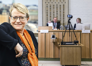 Därför döms Theodor Engström inte för terrorbrott för mordet