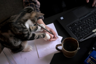 AD: Rätt att varna lärare som skrev kritiskt om SD