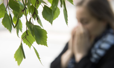 Forskare: Sätt in pollenfilter på jobbet
