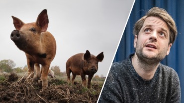 Hemlig inspelning: Klarnas vd jämför facken med grisar