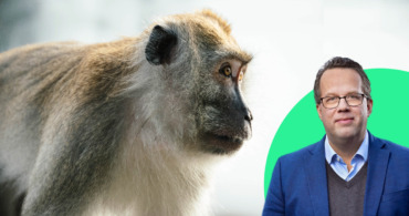 ”Jag har en miljöpartistisk apa på min axel”