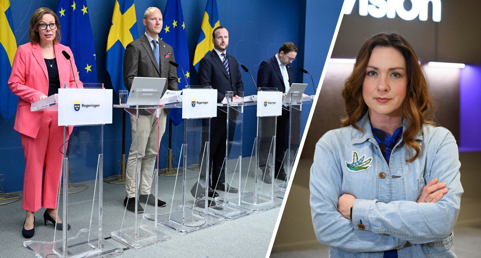 Möte om anmälningsplikt – ”Kraftigt ökad risk för rasprofilering”