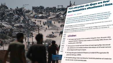 LO och TCO fördömer kriget i Gaza – men Saco är tyst