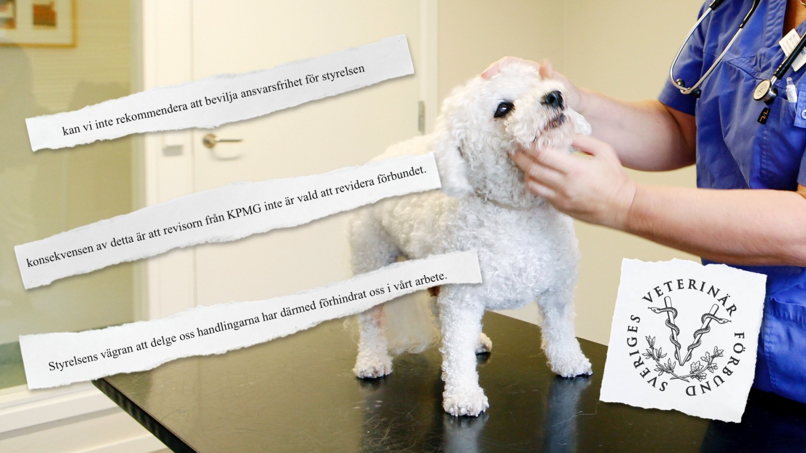 Interna revisorer hotar polisanmäla Veterinärförbundet – ”Rena lögner”
