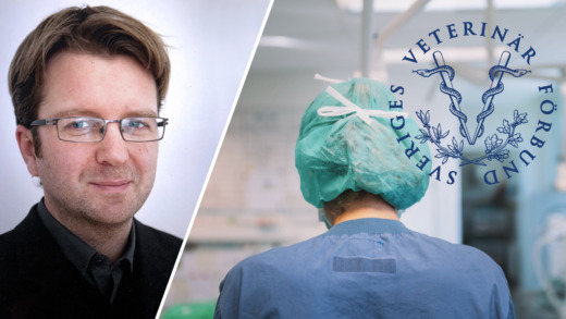 Veterinärförbundets förbundsdirektör slutar