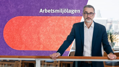 Bo Ericson verkar mest försöka misstänkliggöra SKR