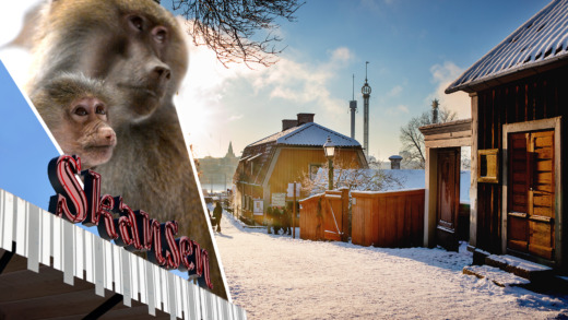 Skansen ska banta – facken ber om hjälp
