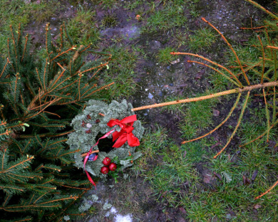 Polis tog tre kollegor på rumpan under julfest – riskerar avsked